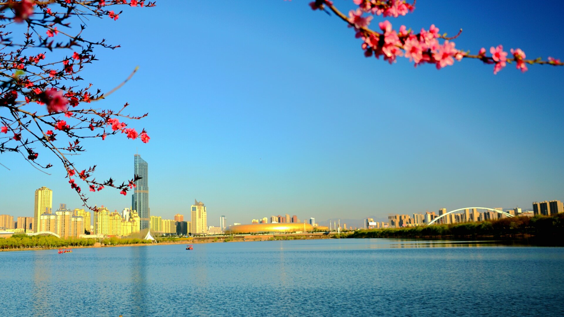 湖滨天气预报20天查询