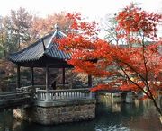 常熟天气预报20天查询