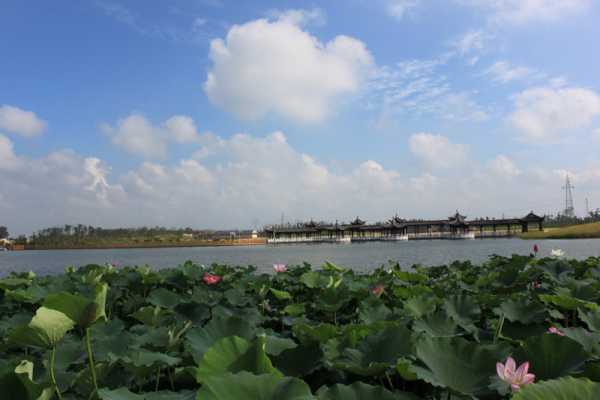 阜宁天气预报20天查询