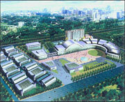 睢宁天气预报20天查询