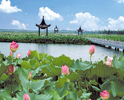 金湖天气预报20天查询