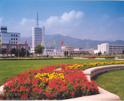 东海天气预报20天查询