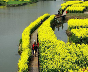 兴化天气预报20天查询