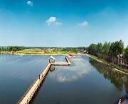 姜堰天气预报20天查询