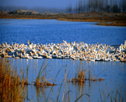 谷城天气预报20天查询