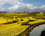 浠水天气预报20天查询