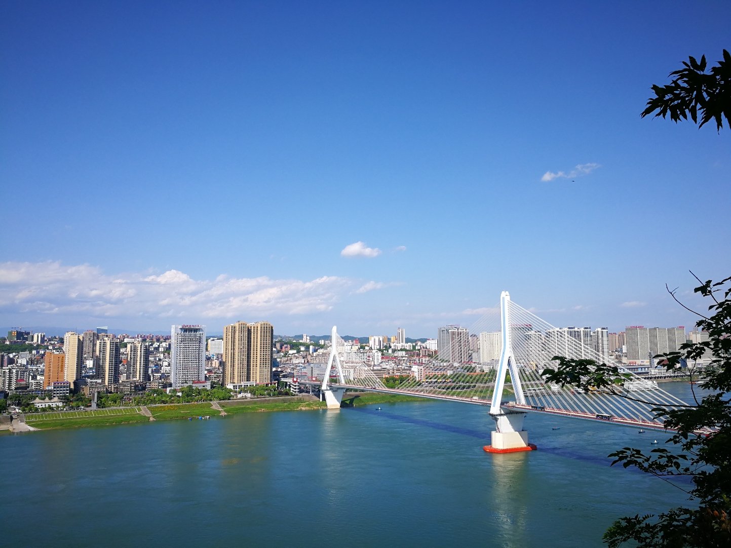 点军天气预报20天查询