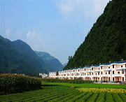 鹤峰天气预报20天查询