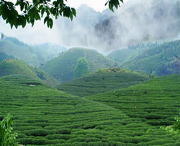 竹溪天气预报20天查询