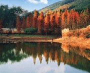 京山天气预报20天查询