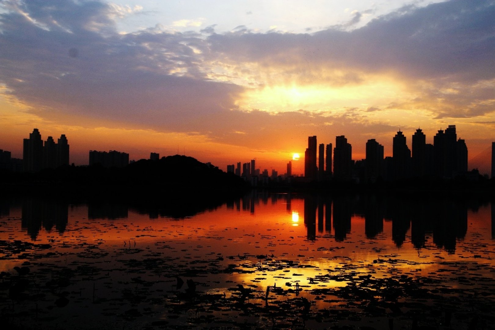 东宝天气预报20天查询