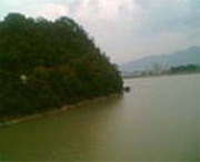 桐庐天气预报20天查询