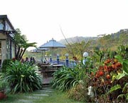 淳安天气预报20天查询