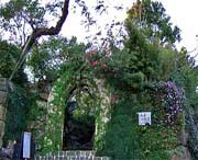 临安天气预报20天查询