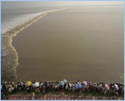 海宁天气预报20天查询