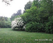 桐乡天气预报20天查询