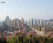 慈溪天气预报20天查询