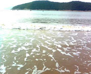 象山天气预报20天查询