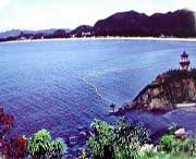 玉环天气预报20天查询