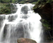 天台天气预报20天查询