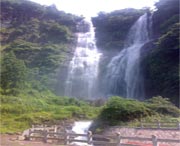 泰顺天气预报20天查询