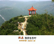 洞头天气预报20天查询