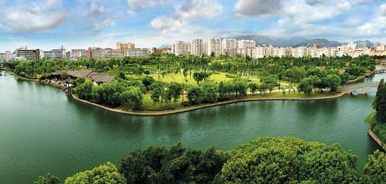 龙湾天气预报20天查询