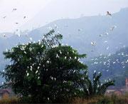 龙泉天气预报20天查询