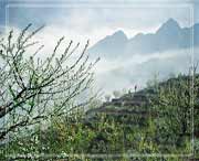 云和天气预报20天查询