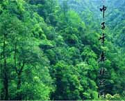 庆元天气预报20天查询