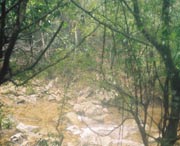 开化天气预报20天查询