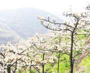 五河天气预报20天查询