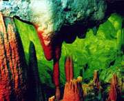 无为天气预报20天查询