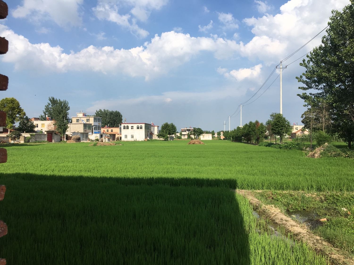 潘集天气预报20天查询