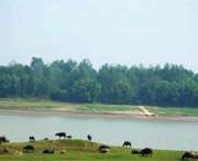 枞阳天气预报20天查询