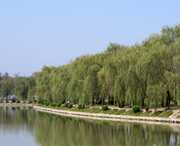 阜南天气预报20天查询