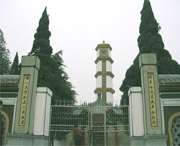 利辛天气预报20天查询