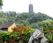 蒙城天气预报20天查询