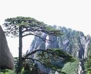 黄山天气预报20天查询