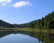 凤阳天气预报20天查询