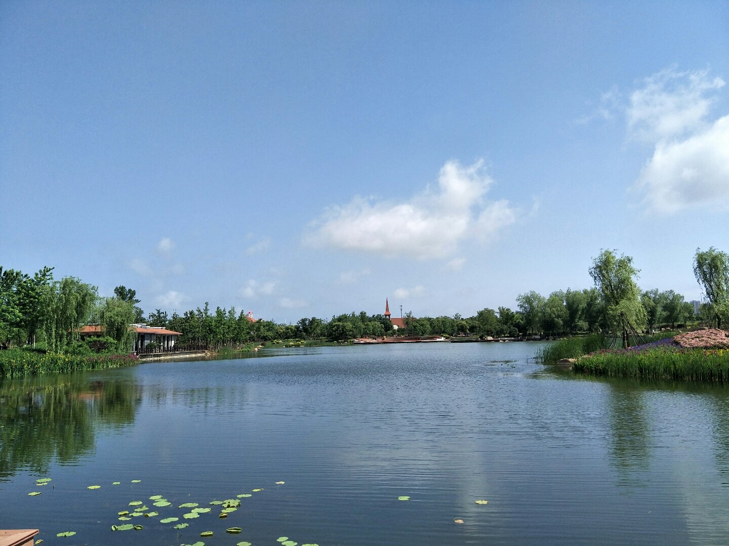 南谯天气预报20天查询