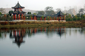 杜集天气预报20天查询