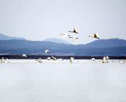 东至天气预报20天查询