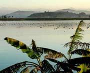 柘荣天气预报20天查询