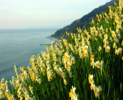 漳州天气预报20天查询