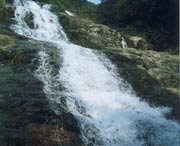 长泰天气预报20天查询