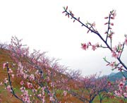 建宁天气预报20天查询