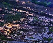 尤溪天气预报20天查询