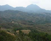 大田天气预报20天查询