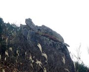 松溪天气预报20天查询